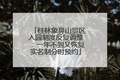 桂林象鼻山景区入园制度反复调整：一年不到又恢复实名制分时预约